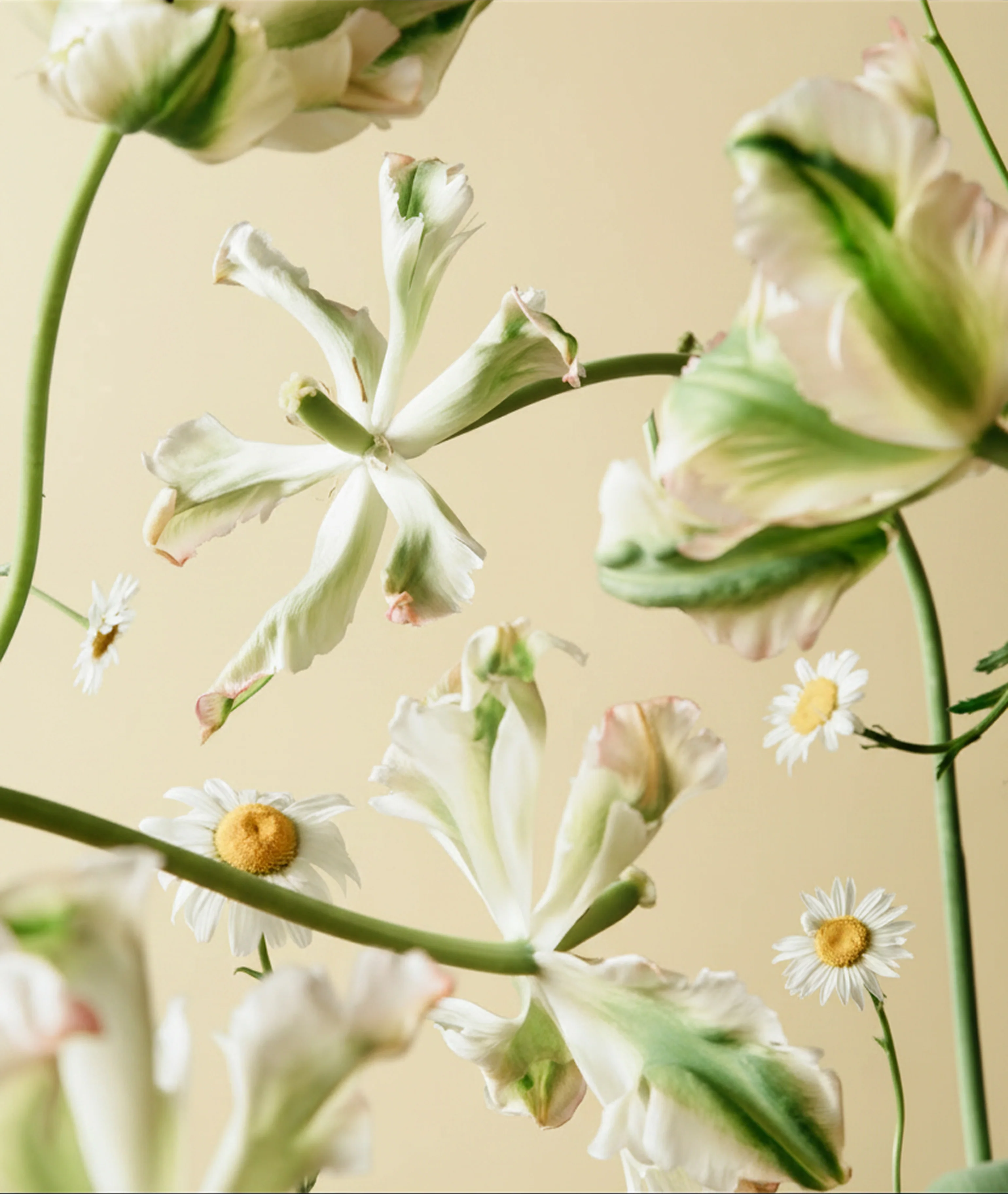 Flower Child Stack - Image 6
